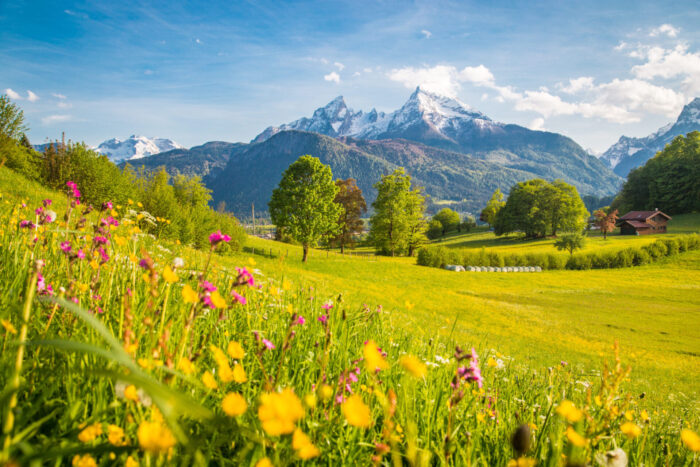 Watzmann-Tage