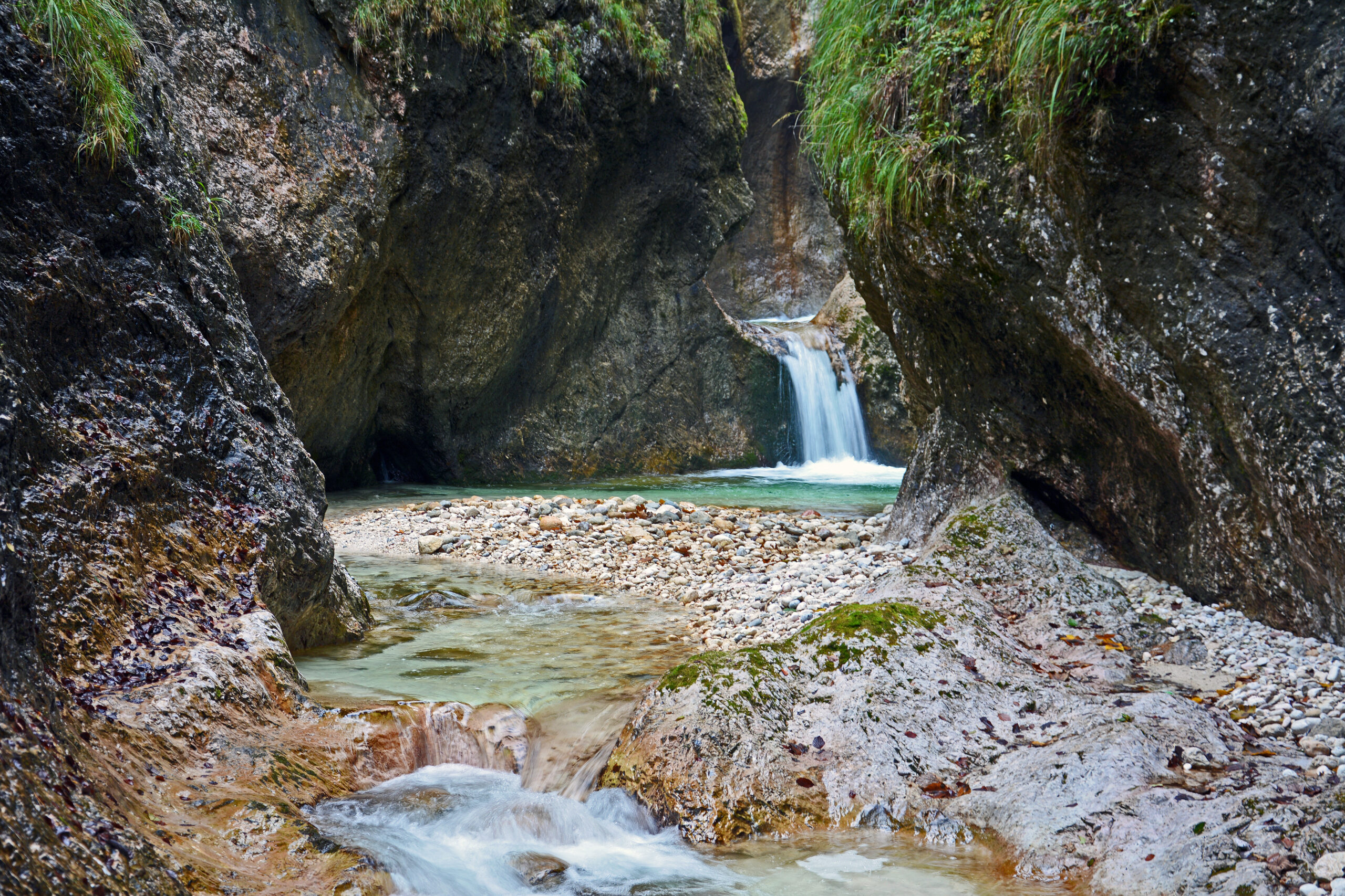 Waldteufel AdobeStock 421509483 scaled