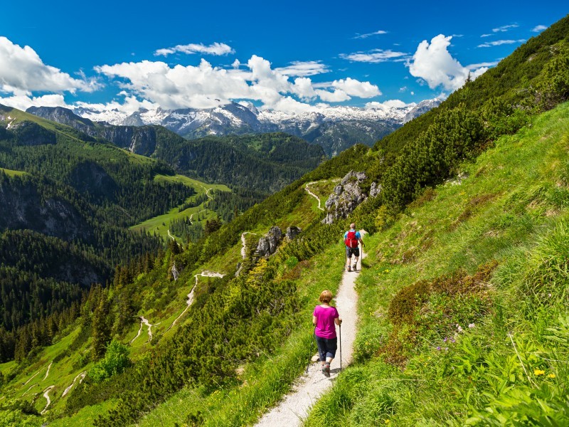 alpen hotel fischer in berchtesgaden blog almen oeffnen wieder wanderwege stockphoto graf as 114233199