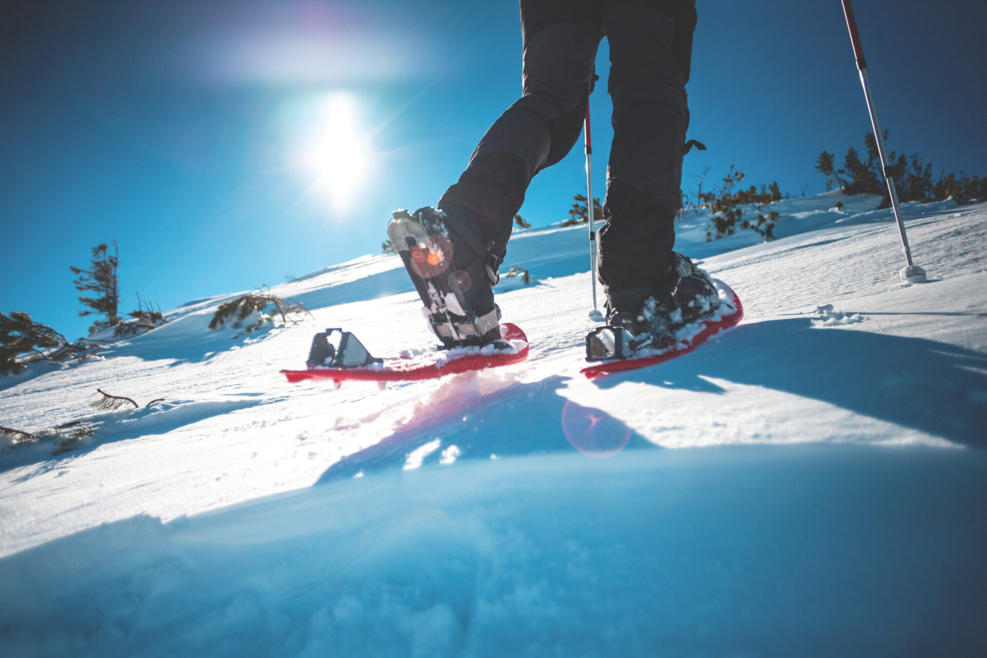 Schneeschuhwandern 1 Schneeschuhwandern