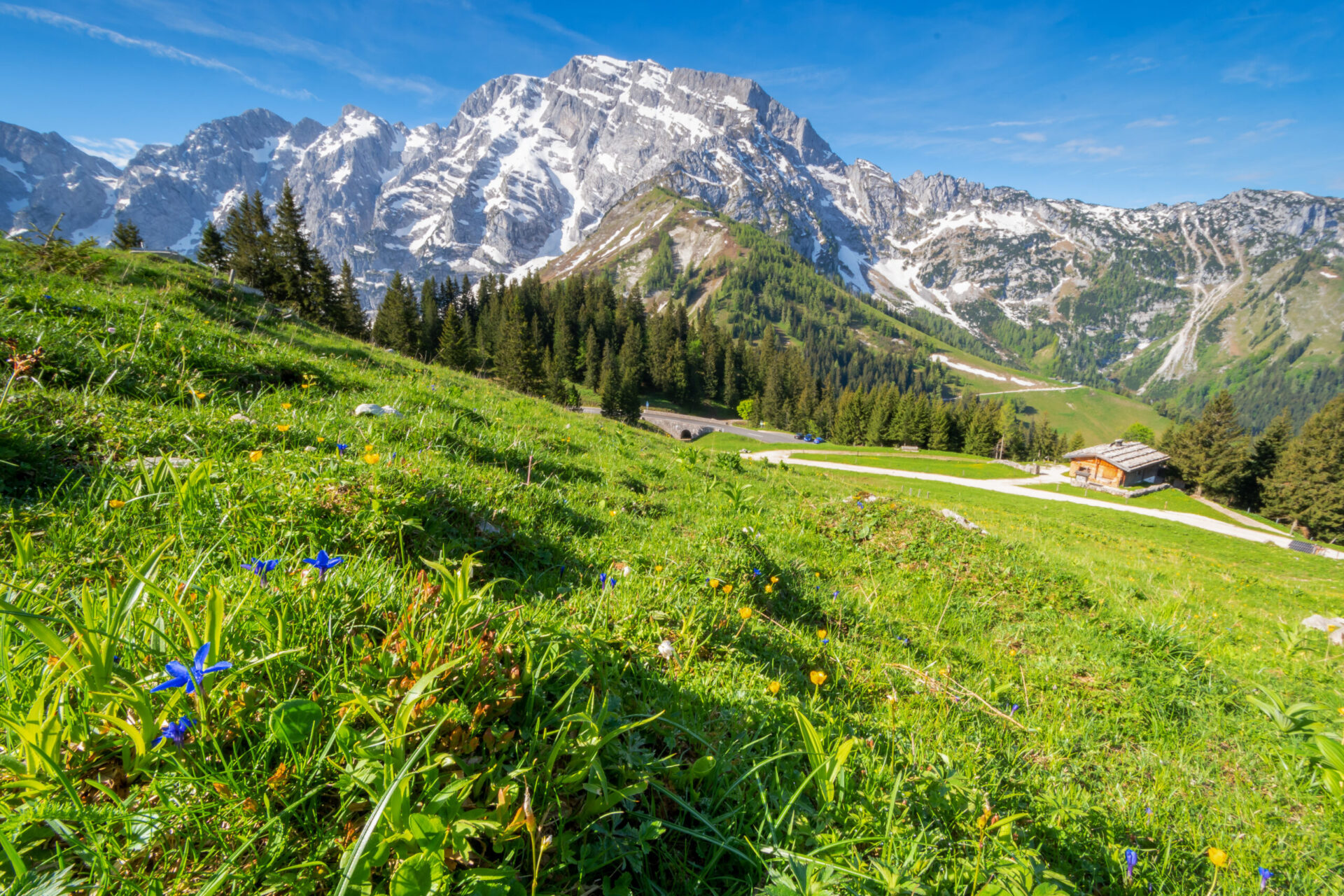 alpenhotel fischer berchtesgadener land rossfeld mp1982 06 adobestock 205202946