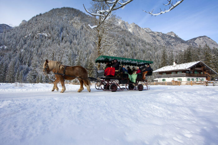 Horse-drawn carriage & sleigh rides